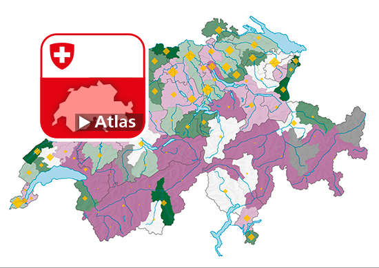 Beschäftigte (in Vollzeitäquivalenten) in den High-Tech Branchen