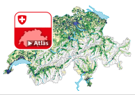 Neu erstellte Wohnungen