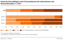 Anteil der Beschäftigten nach Grössenklassen der Unternehmen und Wirtschaftssektor