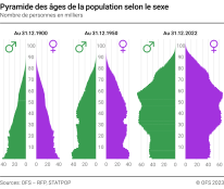 Pyramide des âges de la population selon le sexe