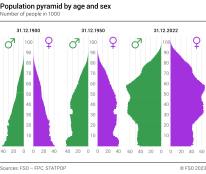 Population pyramid by age and sex