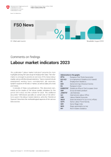 Labour market indicators 2023 - Comments on findings