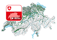 Beschäftigte im 1. Wirtschaftssektor