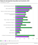 Risiken für die körperliche Gesundheit nach Geschlecht
