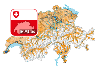 Ständige Wohnbevölkerung im Alter ab 80 Jahren