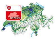 Ständige ausländische Wohnbevölkerung