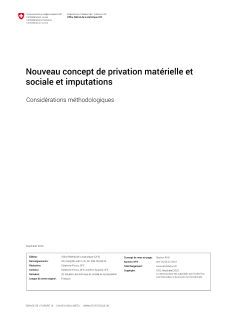 Rapport de synthèse sur la révision des privations matérielles et sociales