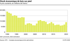 Stock économique de bois sur pied