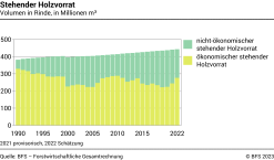 Stehender Holzvorrat