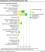 Energieeinsatz nach Wirtschaftsbranchen, 2021