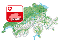 Rapport de dépendance des jeunes