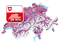 Rapport total de dépendance