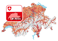 Indice de grand vieillissement