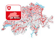 Internationaler Wanderungssaldo