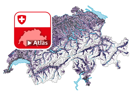 Taux brut de mortalité, en 2022