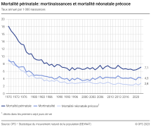 Mortalité périnatale: mortinaissances et mortalité néonatale précoce