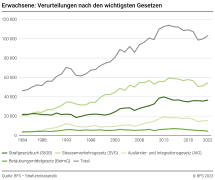 Erwachsene: Verurteilungen nach den wichtigsten Gesetzen