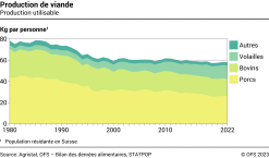 Production de viande par personne