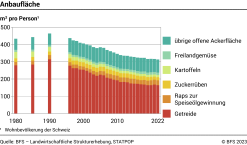 Anbaufläche pro Person