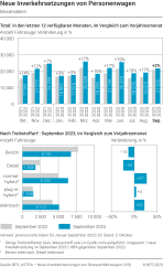 Neue Inverkehrsetzungen von Personenwagen - Monatsdaten