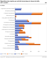 Répartition des emplois par activité économique et classe de taille