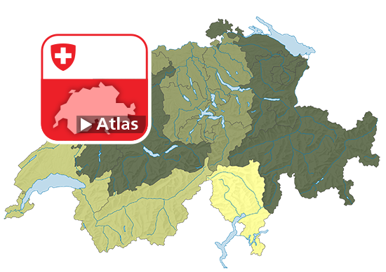 Informelle Freiwilligenarbeit