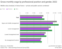 Gross monthly wage by professional position and gender, 2022