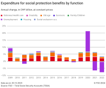 Expenditure for social protection benefits by function
