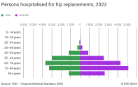 Persons hospitalised for hip replacements, 2022