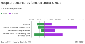 Hospital personnel by function and sex