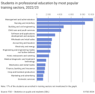 Students in professional education by most popular training sectors