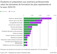 Etudiants en préparation aux examens professionnels selon les domaines de formation les plus représentés et le sexe