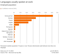 Languages usually spoken at work