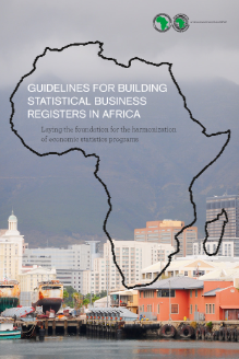 Guidelines for Building Statistical Business Registers in Africa