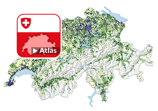 Neu erstellte Wohnungen
