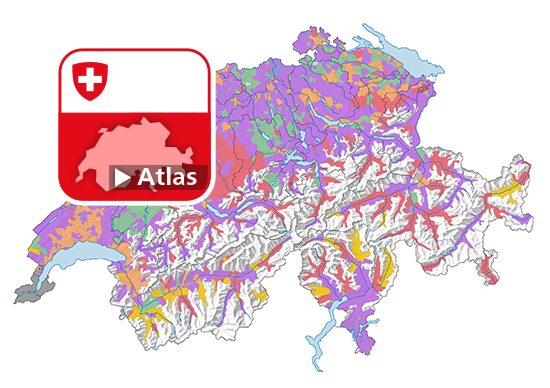 Source d'énergie prédominante du chauffage des bâtiments