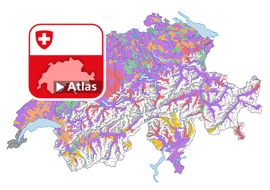 Dominierende Energiequelle der Heizung der Wohnungen