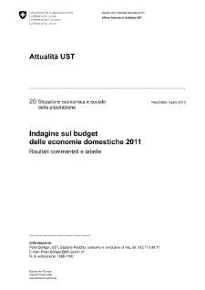 Indagine sul budget delle economie domestiche 2011