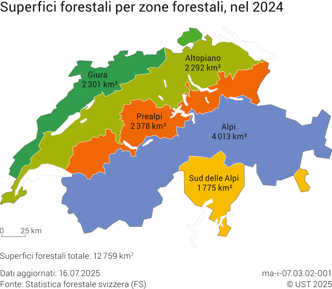 Superfici forestali per zone forestali