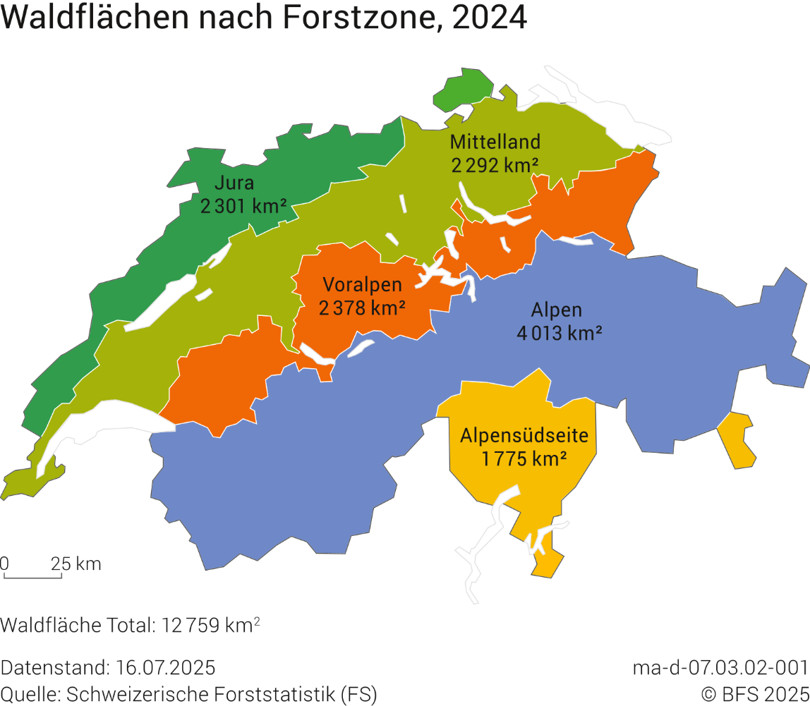 Waldflächen nach Forstzone