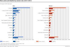 New cases and deaths by cancer site, 2010-2014