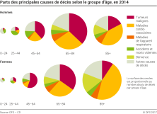 Parts des principales causes de décès selon le groupe d'âge, en 2014