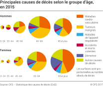Principales causes de décès selon le groupe d'âge, en 2015