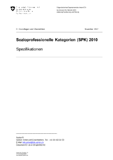 Sozioprofessionelle Kategorien (SPK) 2010 - Spezifikationen