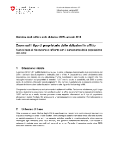 Zoom sul il tipo di proprietario delle abitazioni in affitto