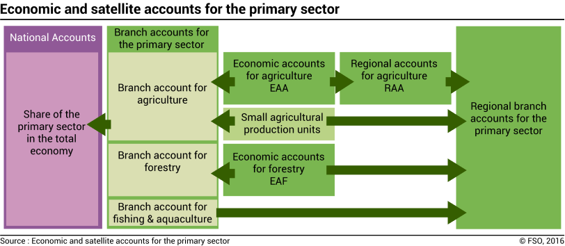 Economic and satellite accounts for the primary sector
