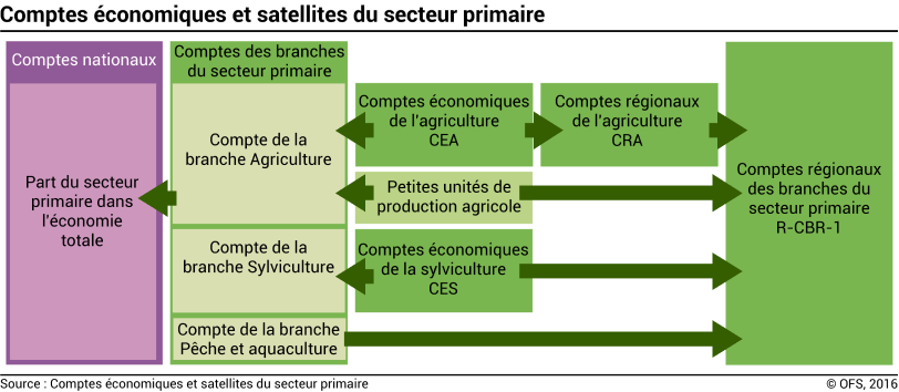 Comptes économiques et satellites du secteur primaire