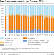 Condizione professionale per Cantone, 2016