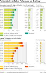 Art der strafrechtlichen Platzierung von Jugendlichen am Stichtag