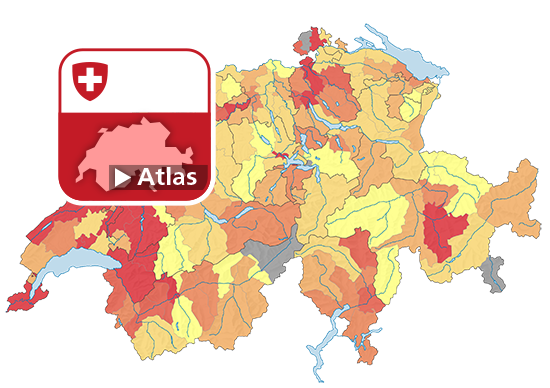 Strafgesetzbuch (StGB): Häufigkeitszahl Total Gewaltstraftaten, 2017